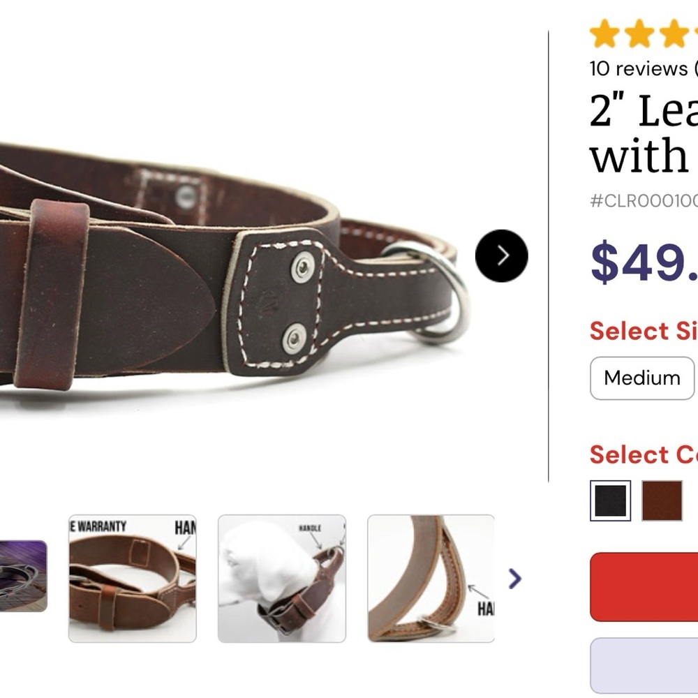 Black 2” leather dog collar with handle